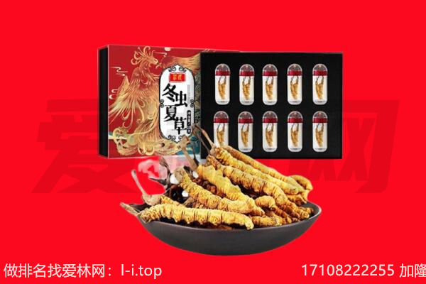 弥勒市回收虫草.jpg